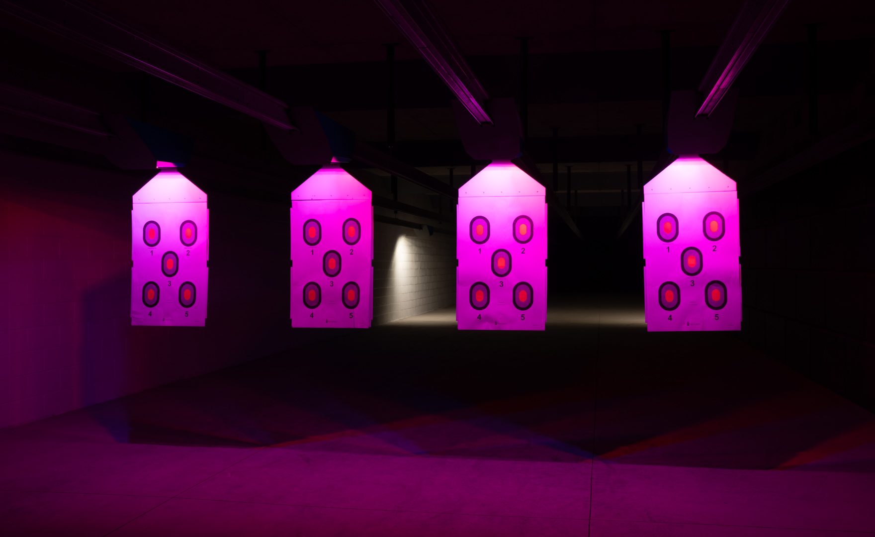 Target Retriever Lighting