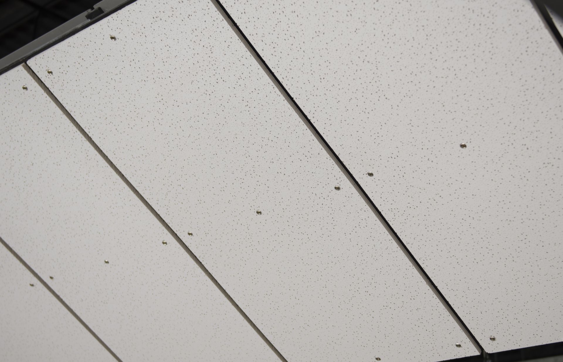 Acoustic ceiling panel